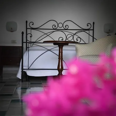 Fiorita Lipari - Fiori Di Campo Λίπαρι